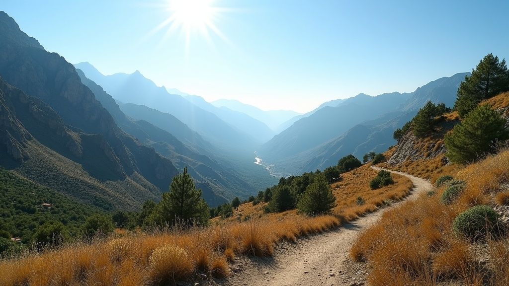 Majestic Sierra Blanca mountains on Costa del Sol. Explore nature's vibrant biologisk mangfold i Andalucía Costa del Sol.